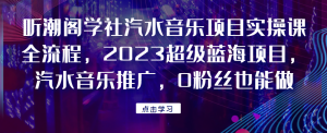 听潮阁学社汽水音乐项目实操课全流程,2023超级蓝海项目,汽水音乐推广,0粉丝也能做!网赚项目-副业赚钱-互联网创业-资源整合老八网赚资源