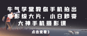 牛气学堂教你手机拍出电影级大片,小白秒变大神手机摄影课网赚项目-副业赚钱-互联网创业-资源整合歪妹网赚