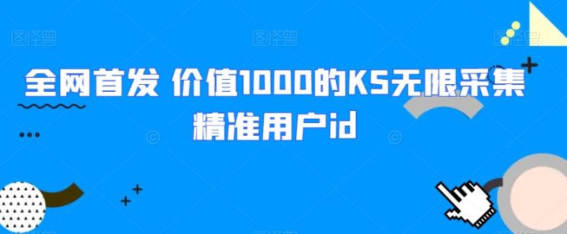 全网首发 价值1000的KS无限采集精准用户id网赚项目-副业赚钱-互联网创业-资源整合老八网赚资源