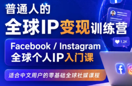 建立海外社媒底层逻辑，打造能变现的个人IP网赚项目-副业赚钱-互联网创业-资源整合老八网赚资源
