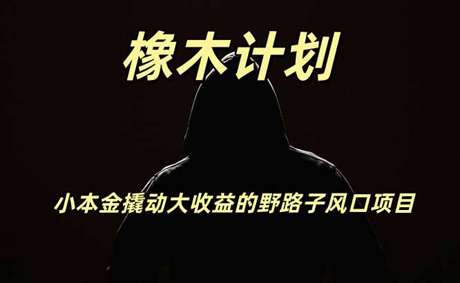 橡木计划，小投入撬动高回报的风口野路子项目，一天投入2小时左右网赚项目-副业赚钱-互联网创业-资源整合老八网赚资源