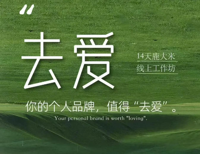 aa760ae06567847dd9a049dc5475d1c5.jpeg 去爱14天鹿大米线上工作坊,你的个人品牌,值得“去爱”