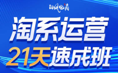 白凤电商·淘系运营21天速成班(更新8月)网赚项目-副业赚钱-互联网创业-资源整合老八网赚资源