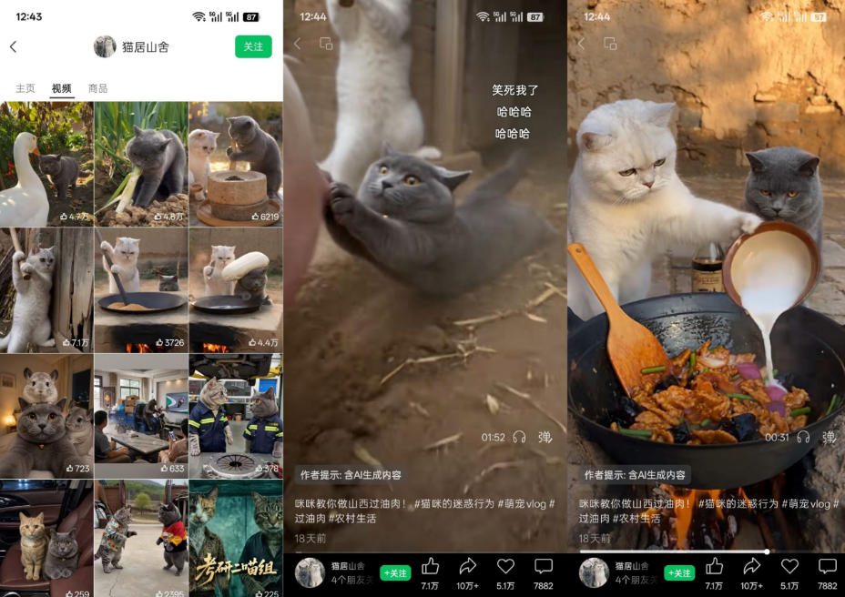 3ba68ba4048c00634e5da221f0402300.jpeg 猫咪慢生活短视频教学,AI搞笑萌宠赛道,视频号分成+精选独家+伙伴计划+商单收徒等多种变现方式