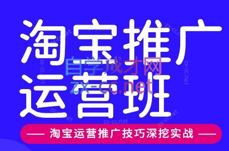 美迪电商·淘宝高级运营班+推广运营班(更新9月)网赚项目-副业赚钱-互联网创业-资源整合老八网赚资源