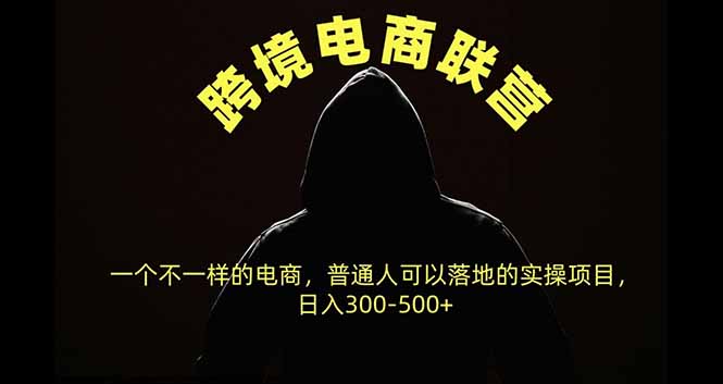 跨境电商联营，一个不一样的电商，普通人可操作日入300-500+网赚项目-副业赚钱-互联网创业-资源整合老八网赚资源