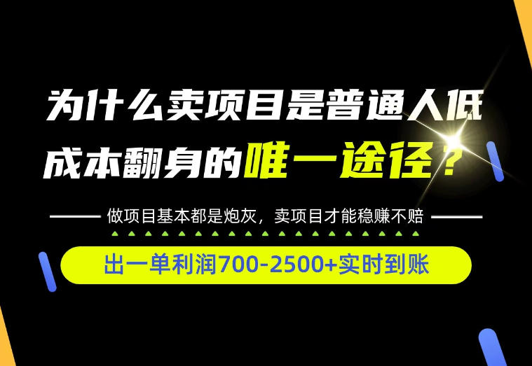 普通人如何靠互联网賺取自己的第一桶金！全类目实操型教学，看完你全都懂了！【揭秘】网赚项目-副业赚钱-互联网创业-资源整合老八网赚资源