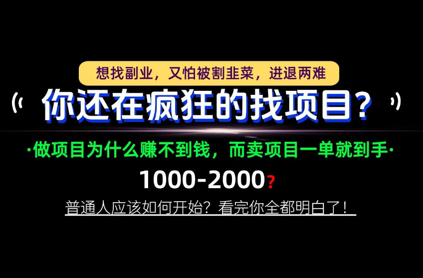你还在疯狂的找项目？别傻了！卖项目才是真正的一本万利！怎么做，看完你全都明白！【揭秘】网赚项目-副业赚钱-互联网创业-资源整合老八网赚资源
