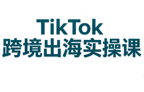 彭老师·TikTok跨境出海实操课网赚项目-副业赚钱-互联网创业-资源整合老八网赚资源