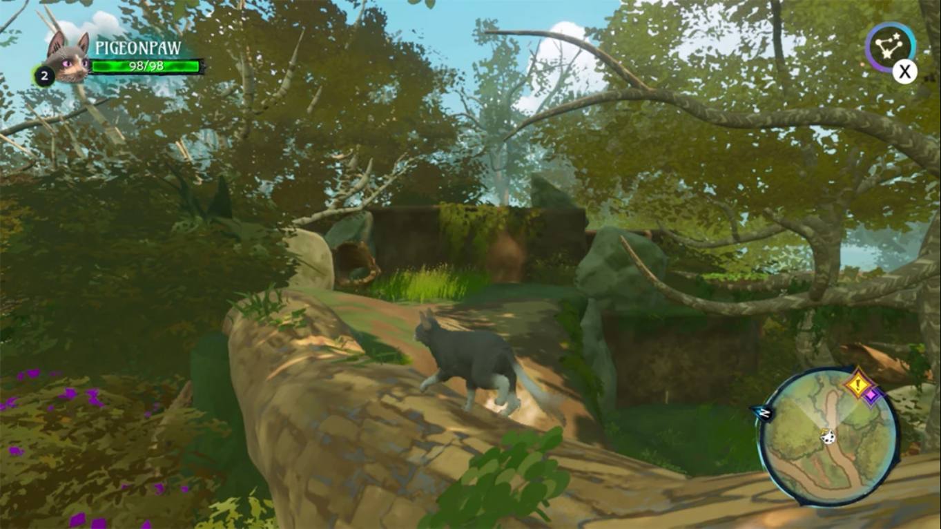 9b05d8d5d2b0061dc6e0c4c38052aef4.jpeg 【美版】猫武士:森林部族 Warrior Cats: Clans of the Forest 英语